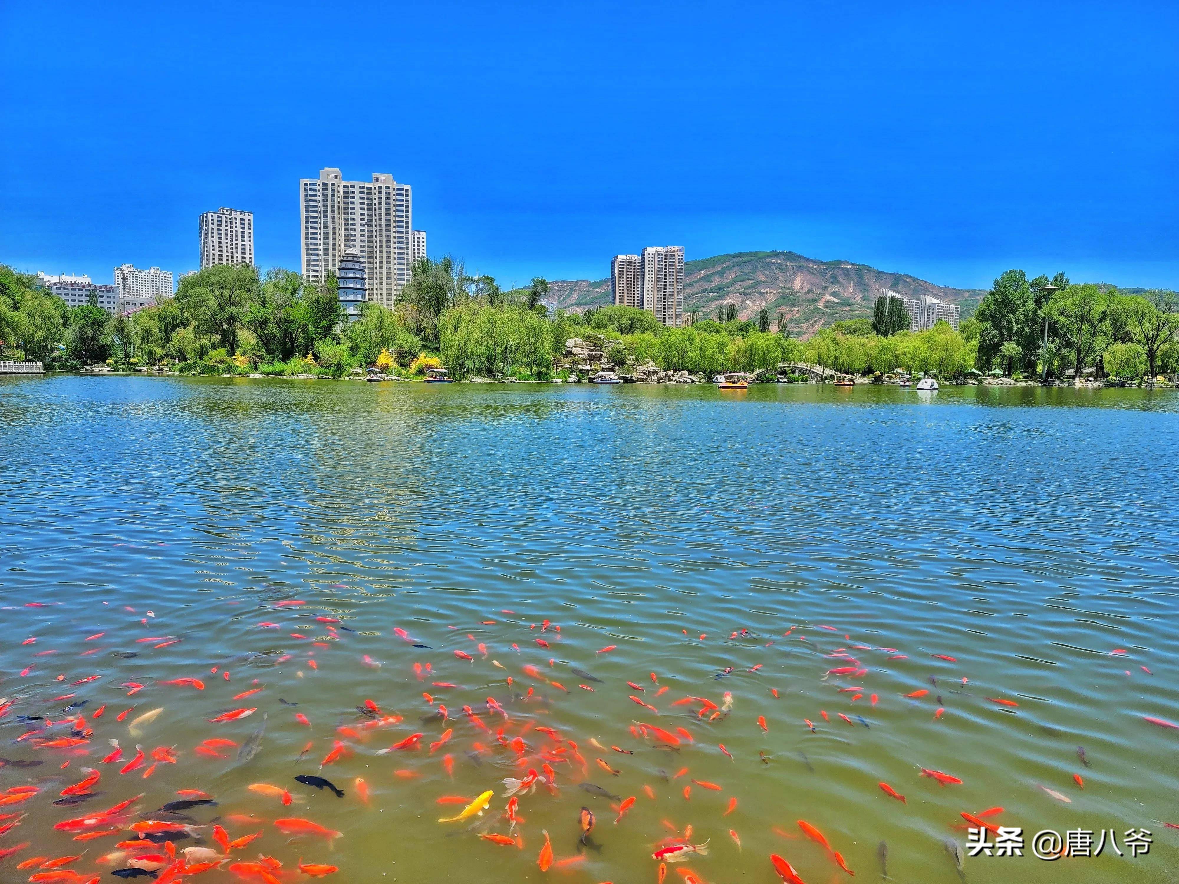 也就組成了這最美的風景,使人神清氣爽,格外美麗,湖水如鏡,青山浮水