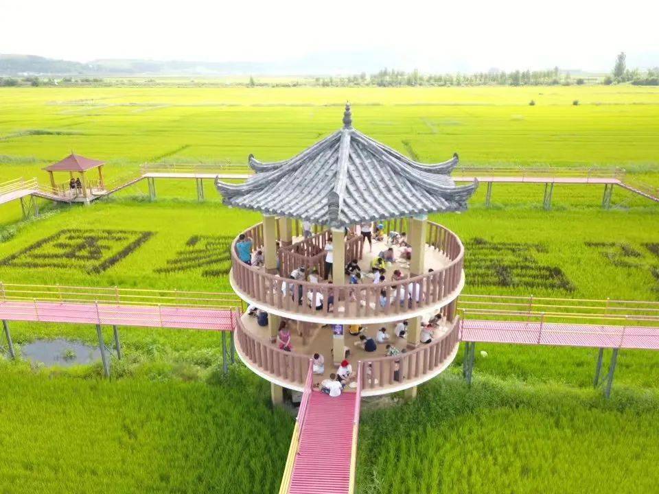 《海兰江畔稻花香》朝鲜族阿妈妮跳起轻盈的舞蹈站在观景台上眺望远方