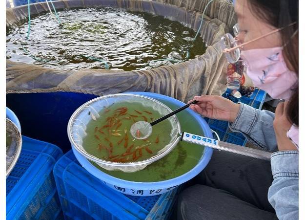 苏州：多彩锦鲤“游”出同里乡村振兴的“一池春水”