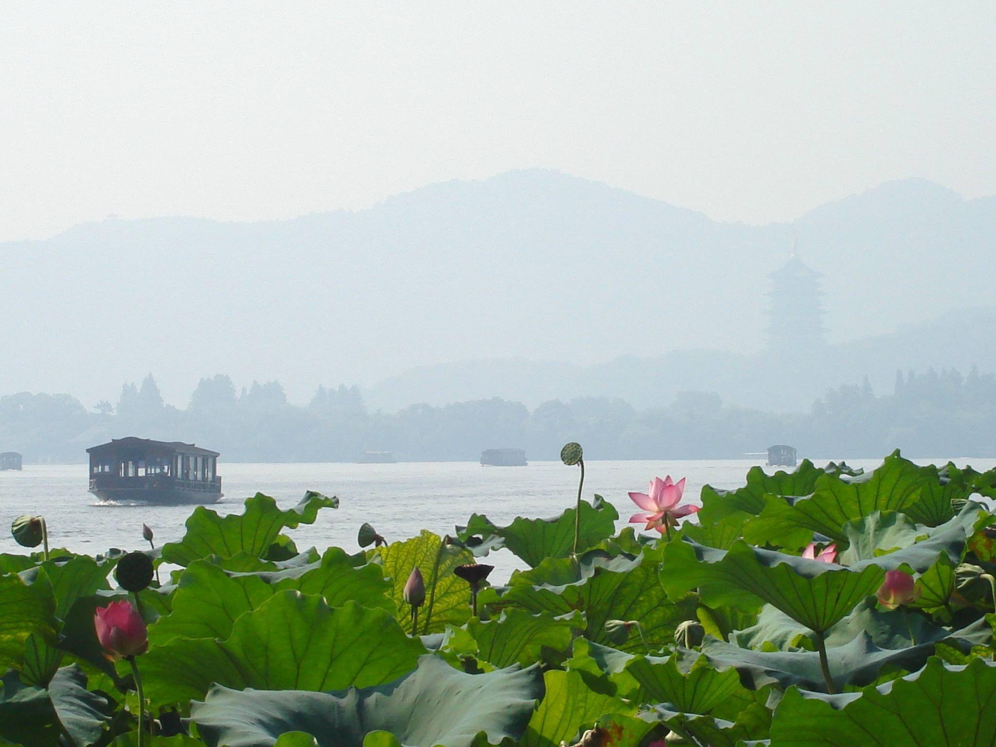 �������˱��µĺɻ�����������Ӱ����������