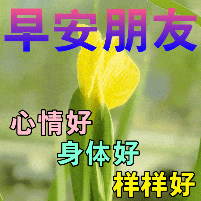 6月15日最漂亮早上好动态表情图片大全,早晨好动图美图大全_问候_祝福