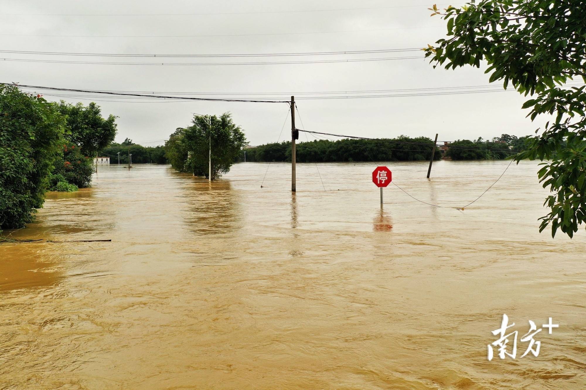 多图直击│洪水围村,水近屋顶,清远村民撑艇仔买菜_梁素雅_飞来峡镇