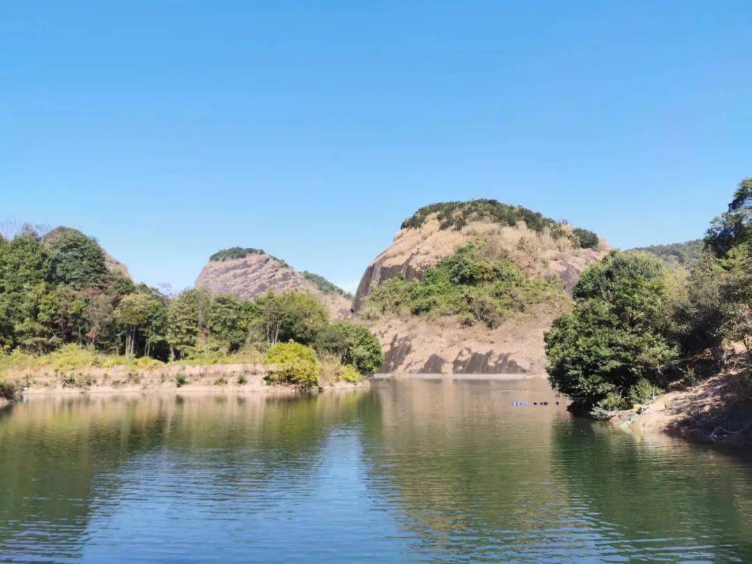 赣州三农寻乌县丹溪乡清溪村做强绿茶产业提升村庄颜值