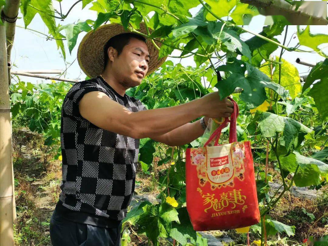 乡村振兴新农人汤志勇握指成拳02与同行抱团发展