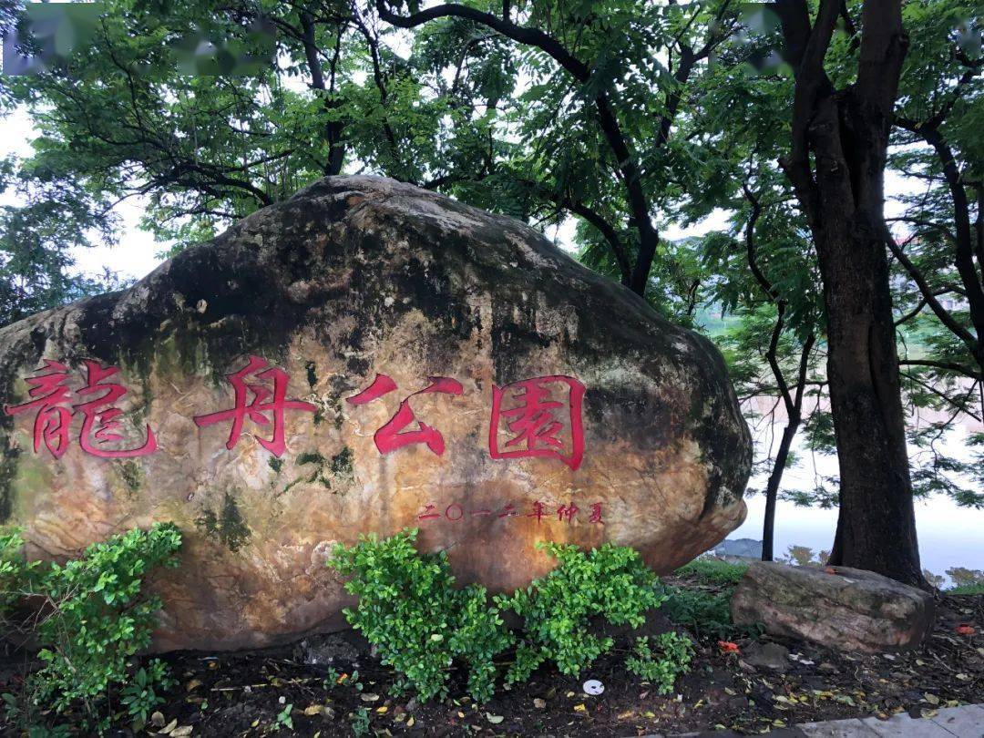 連日暴雨石灣龍舟公園一帶情況如何呢我們去看看