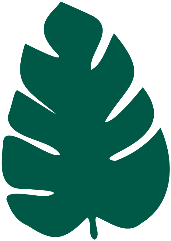 ����ഺ|18�����࣬�����ɢ����