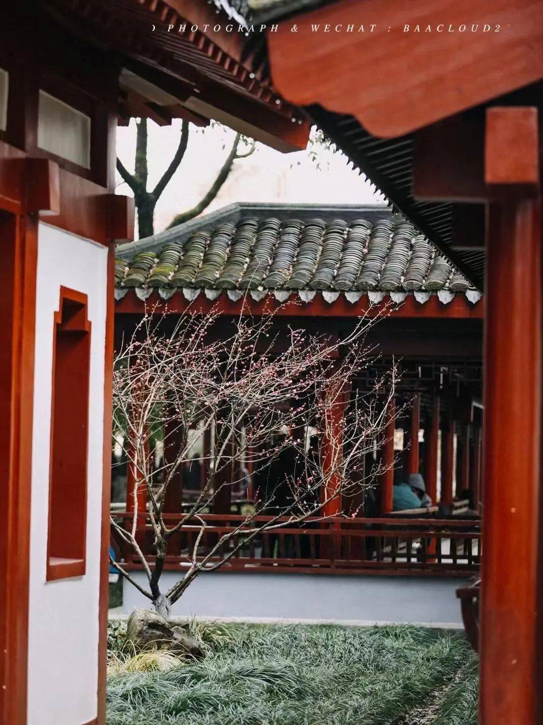 06●韩岭白日梦晴天,一起做梦05●李惠利故居春天你好,油菜花如约而至