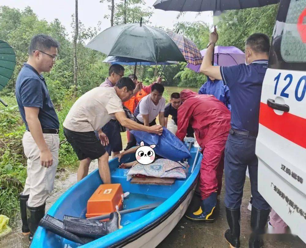 广东英德沙口车祸图片