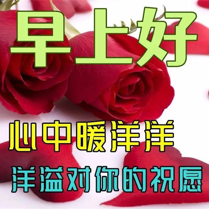 6月16日最新早上好祝福动态表情图片大全，早上好问候语句子！ 阳光印 才是 才越