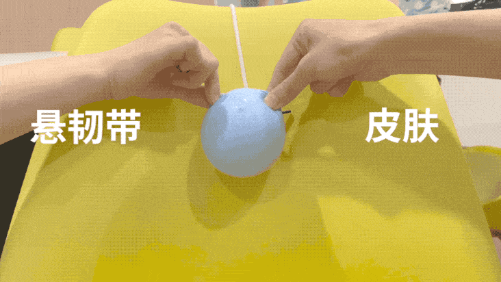 长期不穿内衣,会发生什么?