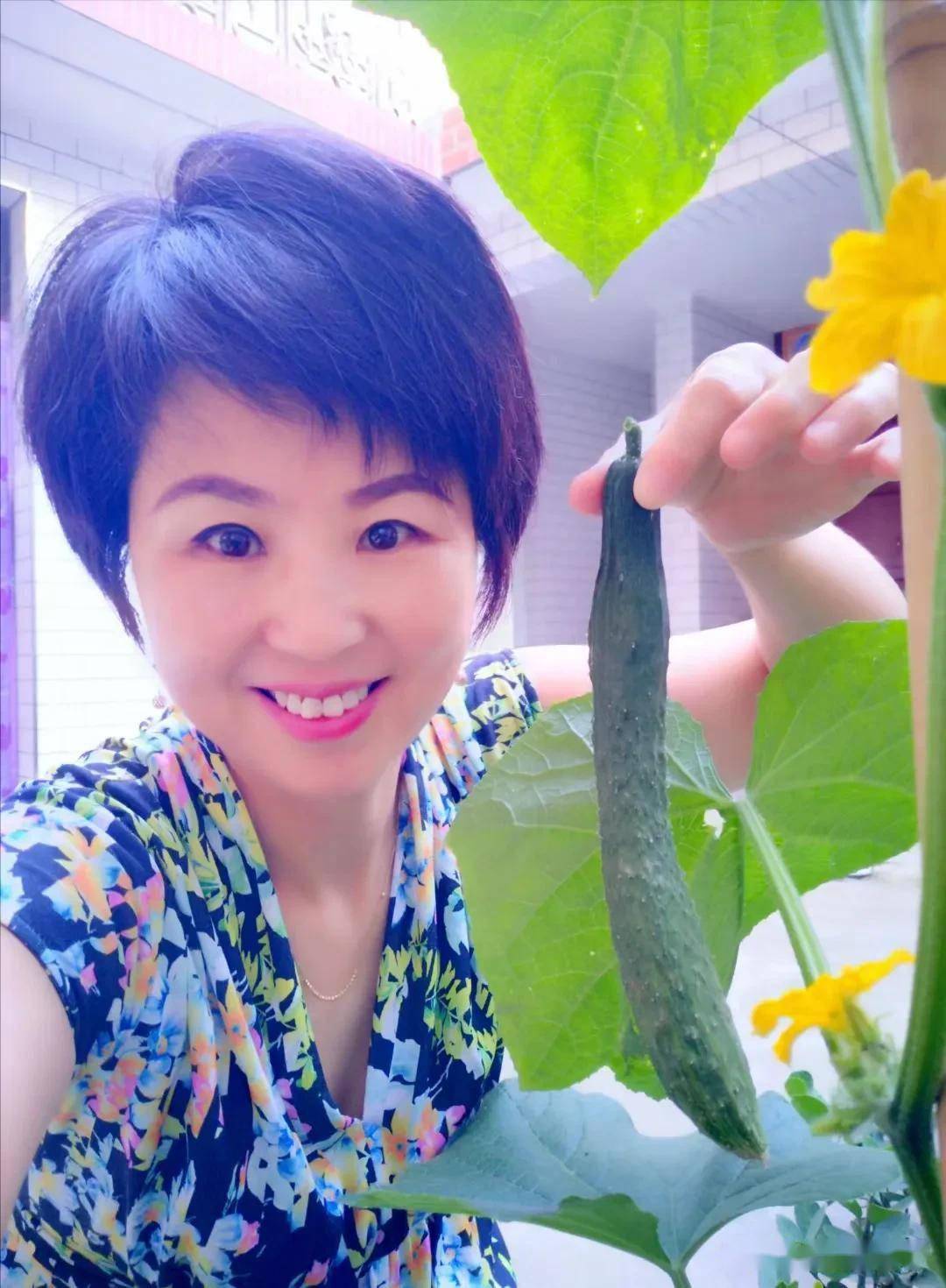 散文小院六月文马淑敏