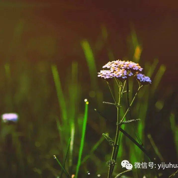 不妨_哲思_情怀_励志
