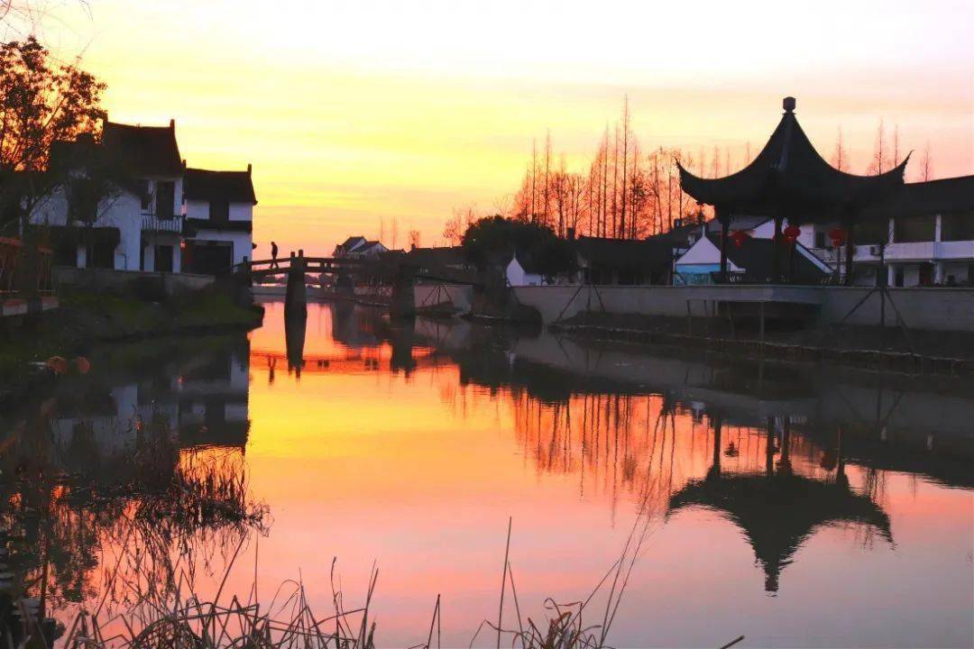 还能采摘蔬果~_金山区_廊下镇_公园