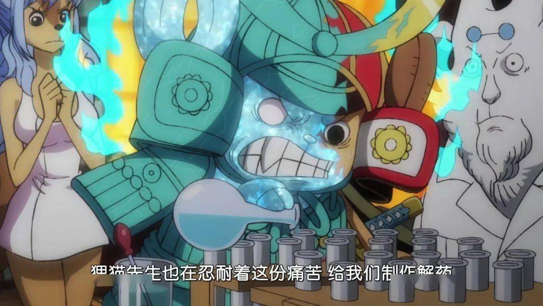 海贼王动画1022集路飞师徒的羁绊