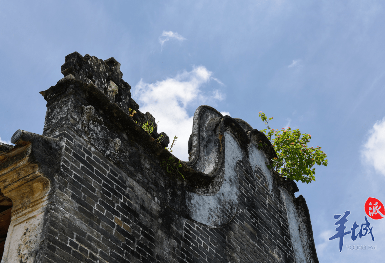 大美岭南云浮水东古村灰墙黛瓦丰蔚文气