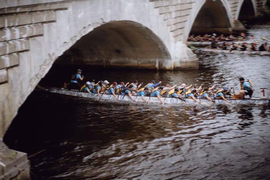 dragon_harvard_china