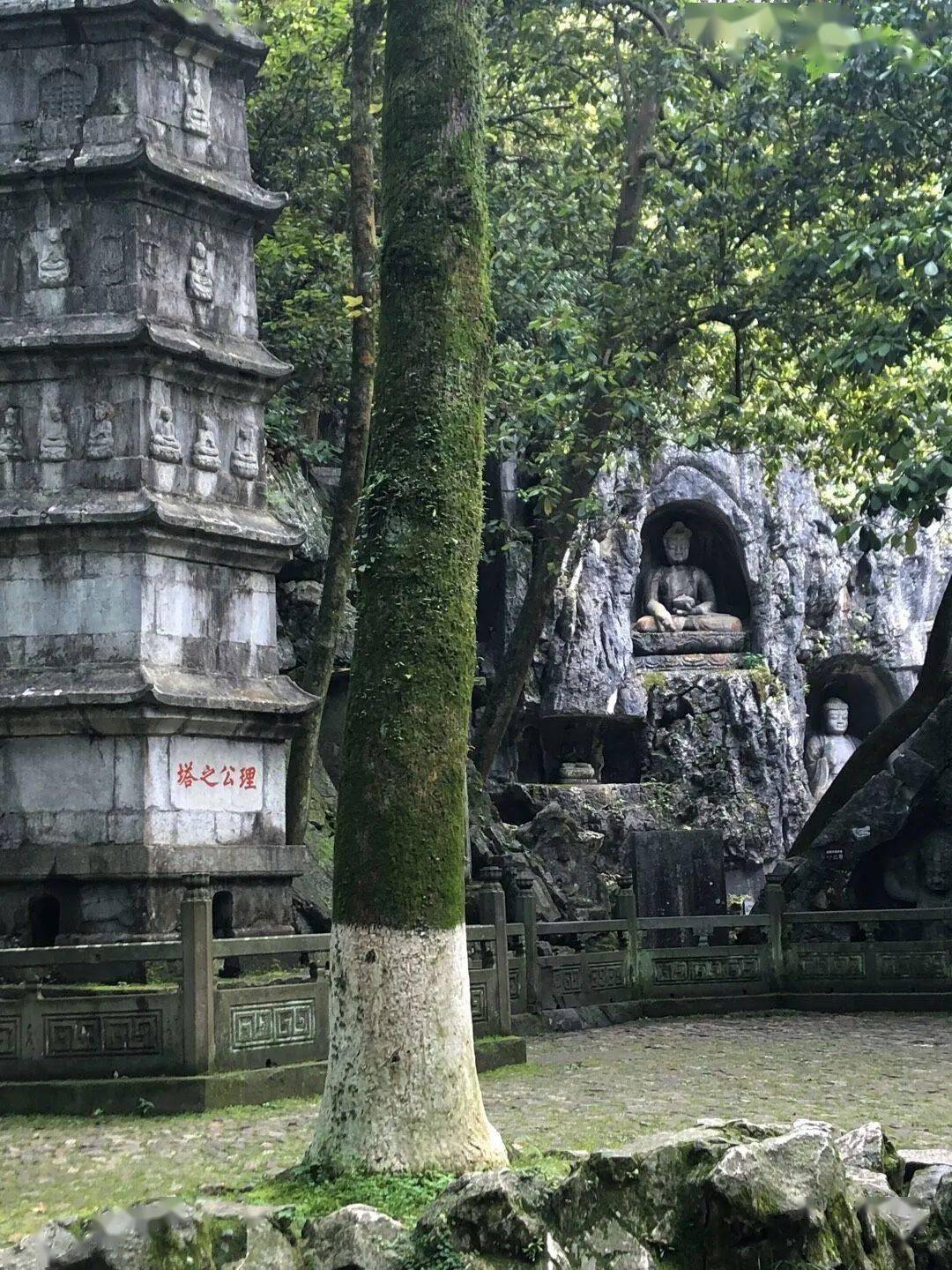 武夷山飞来峰图片