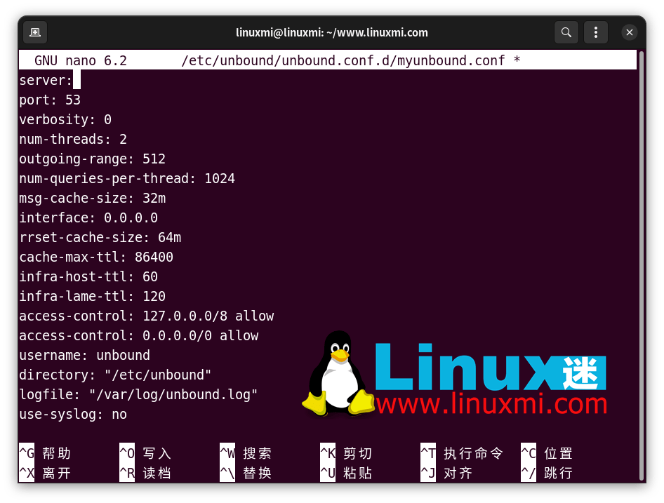 ubuntu-22-04-unbound-dns-nano-sudo-com