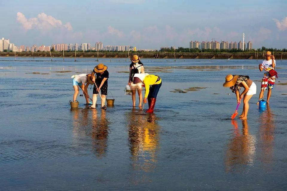 潮汐的规律海南潭门赶海篇