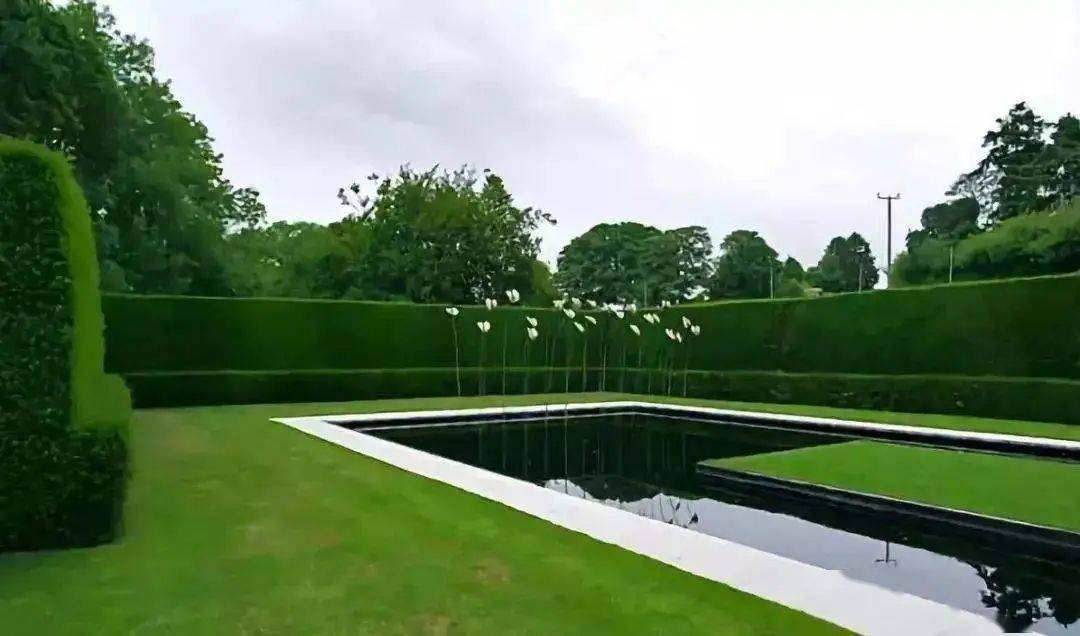 绿篱的常见植物应用与营造方式_园林_空间_的作用