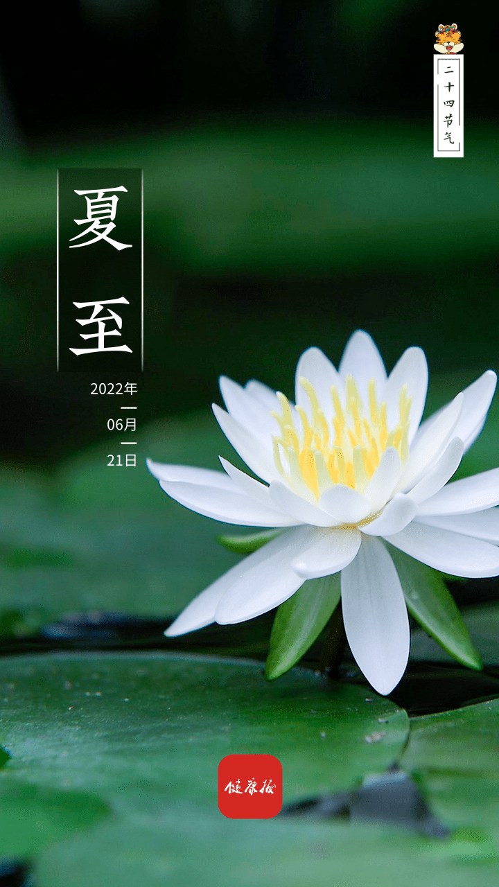 今日夏至仲夏苦夜短开轩纳微凉