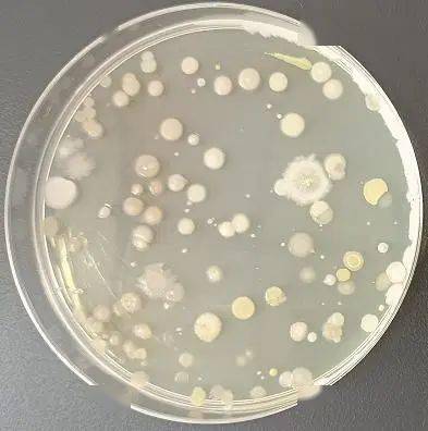 支援协作民盟西城区委为对口帮扶村联系免费土壤检测助力乡村振兴