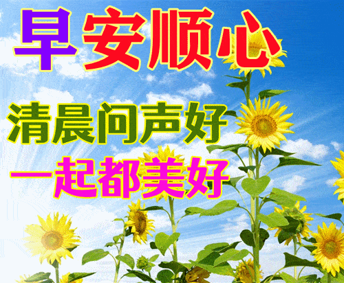 73清晨的阳光划过金色麦田,稻草人懒洋洋地睁开了朦胧睡眼,最美好的