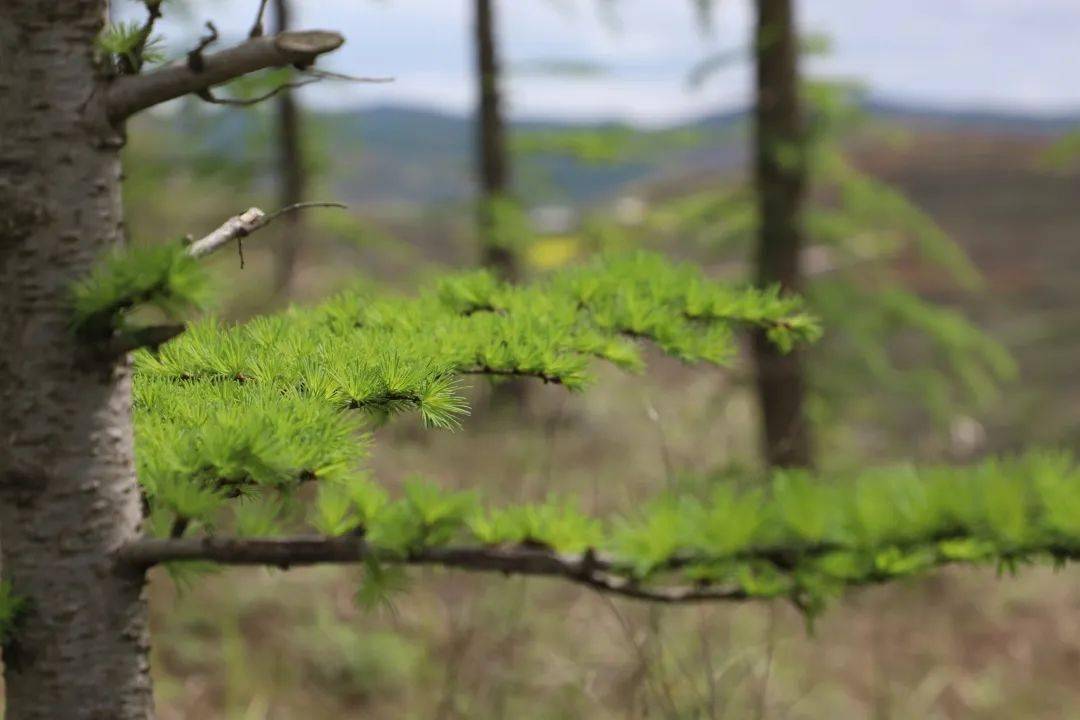 武山中梁山探奇_毛娥_遗址_古堡