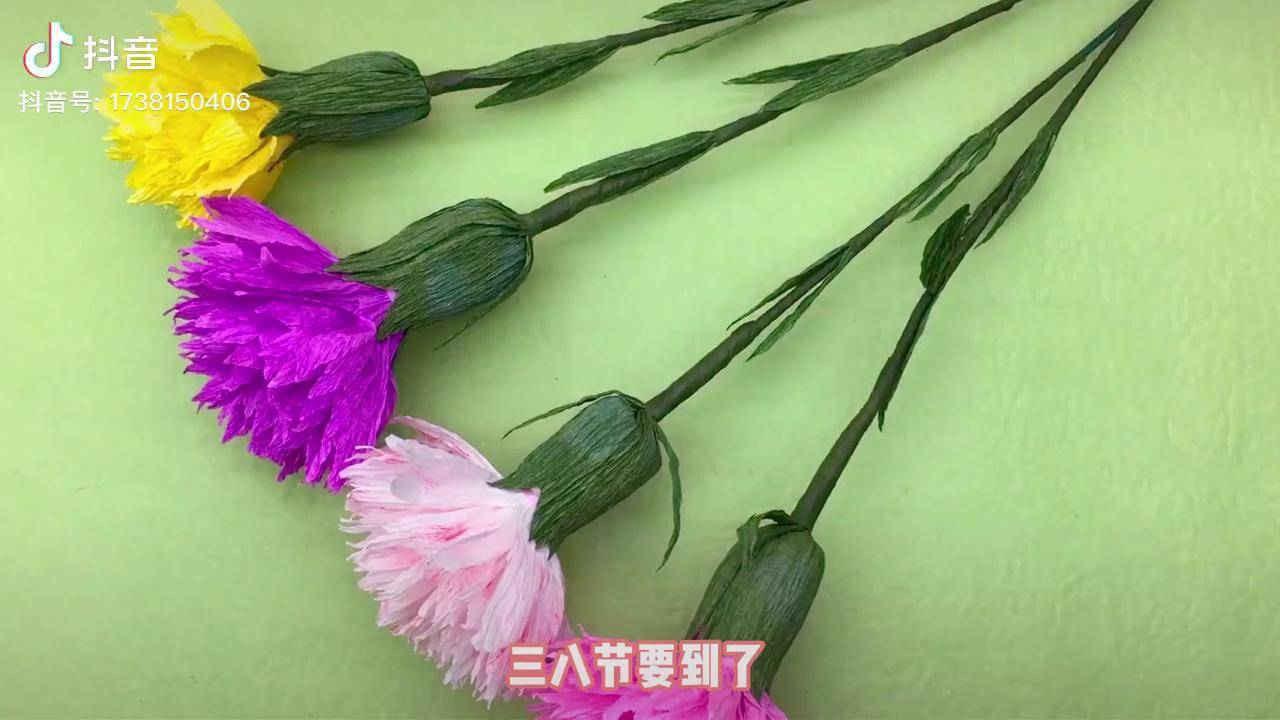 三八节到了,折个漂亮的皱纹纸康乃馨,送妈妈,送老师都非常合适 三八