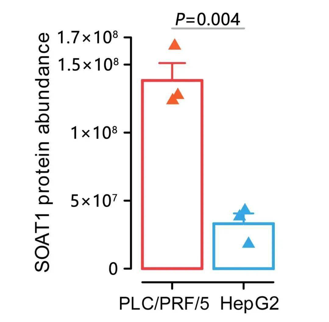 Graphpad绘图教程 XY图误差棒_Error_values_bar