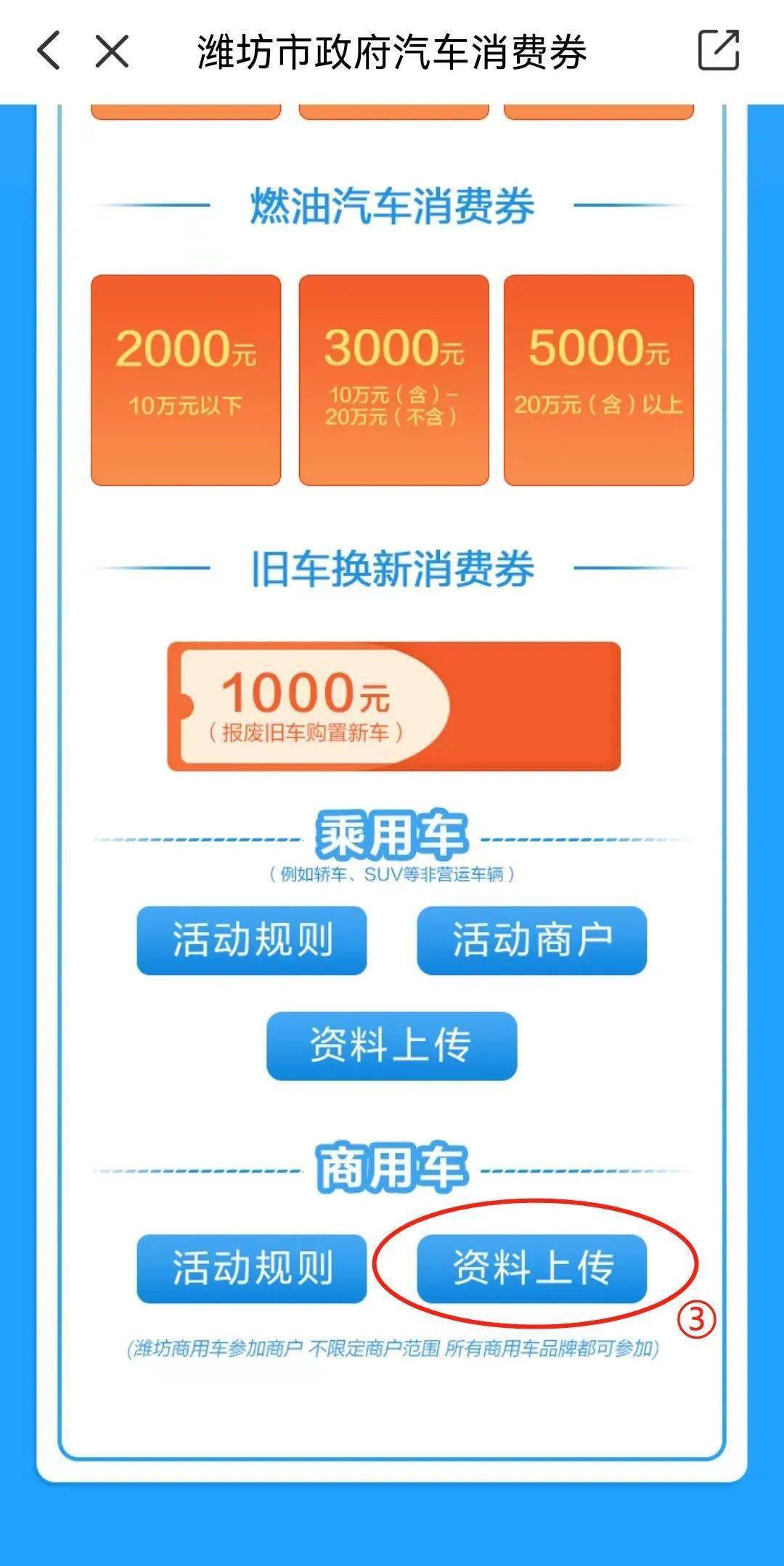 各地掀起购车狂潮 业内预计今年汽车总销量增3%