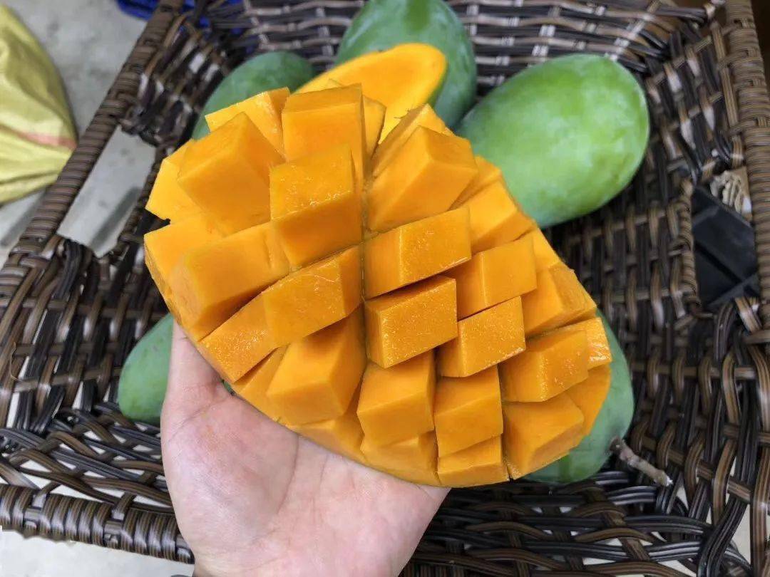 云南大青芒口感巅峰到只要269箱包邮一口下去全是肉吃着相当过瘾