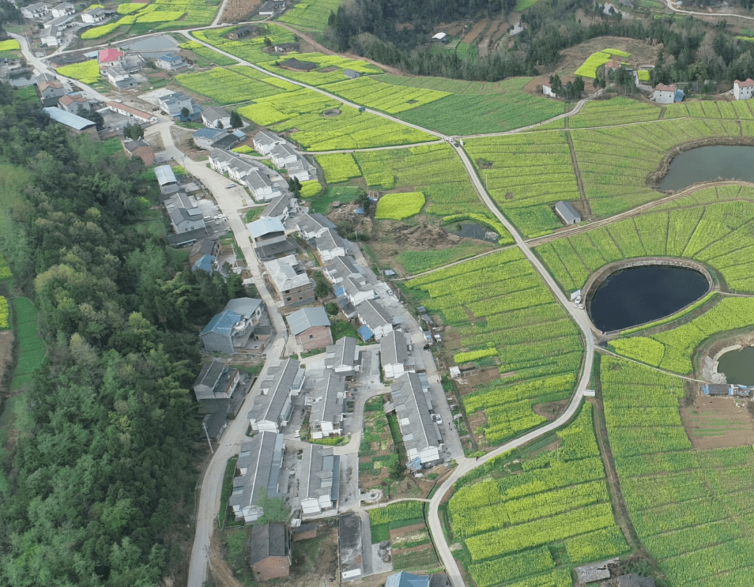 在巴中恩陽土地綜合整治五四三機制起勢成型