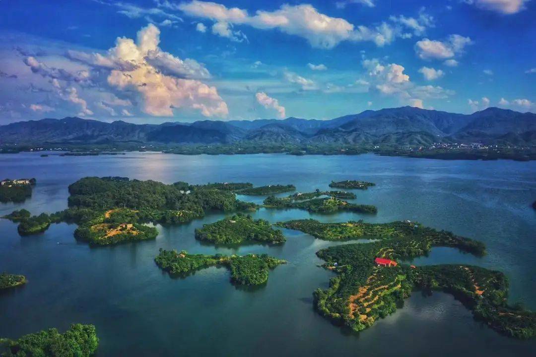 陆水湖风景区图片