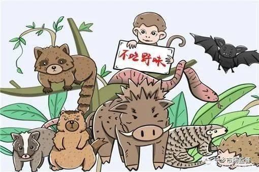 消费警示保护野生动物从拒食野味开始