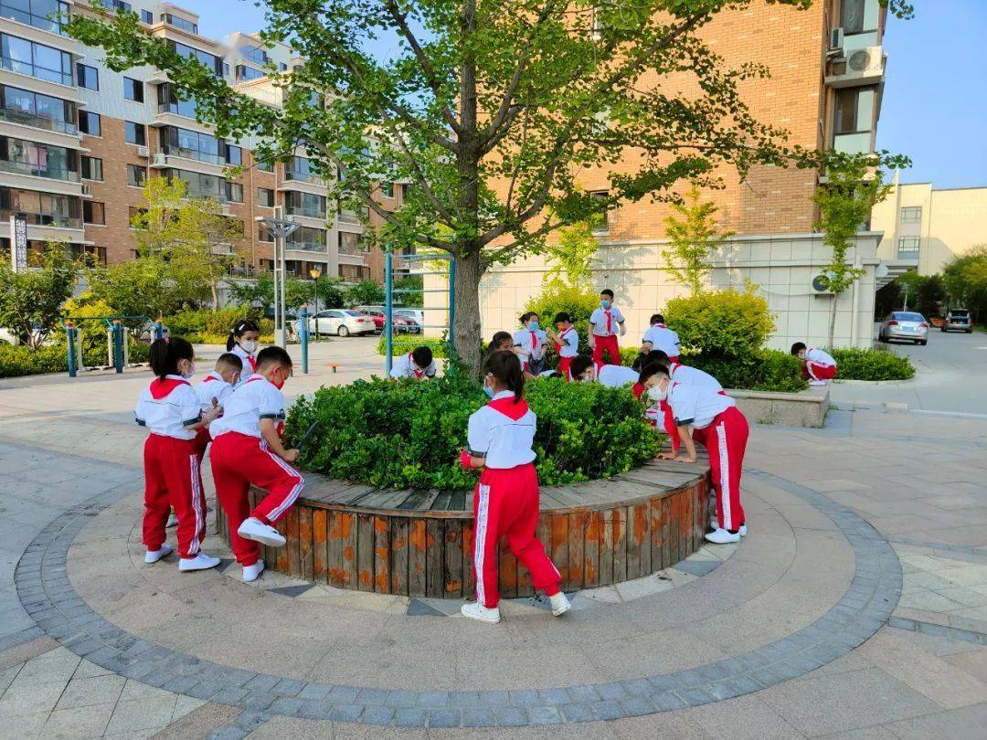 南一小学开展中国梦劳动美童筑中国梦画致劳动美实践活动