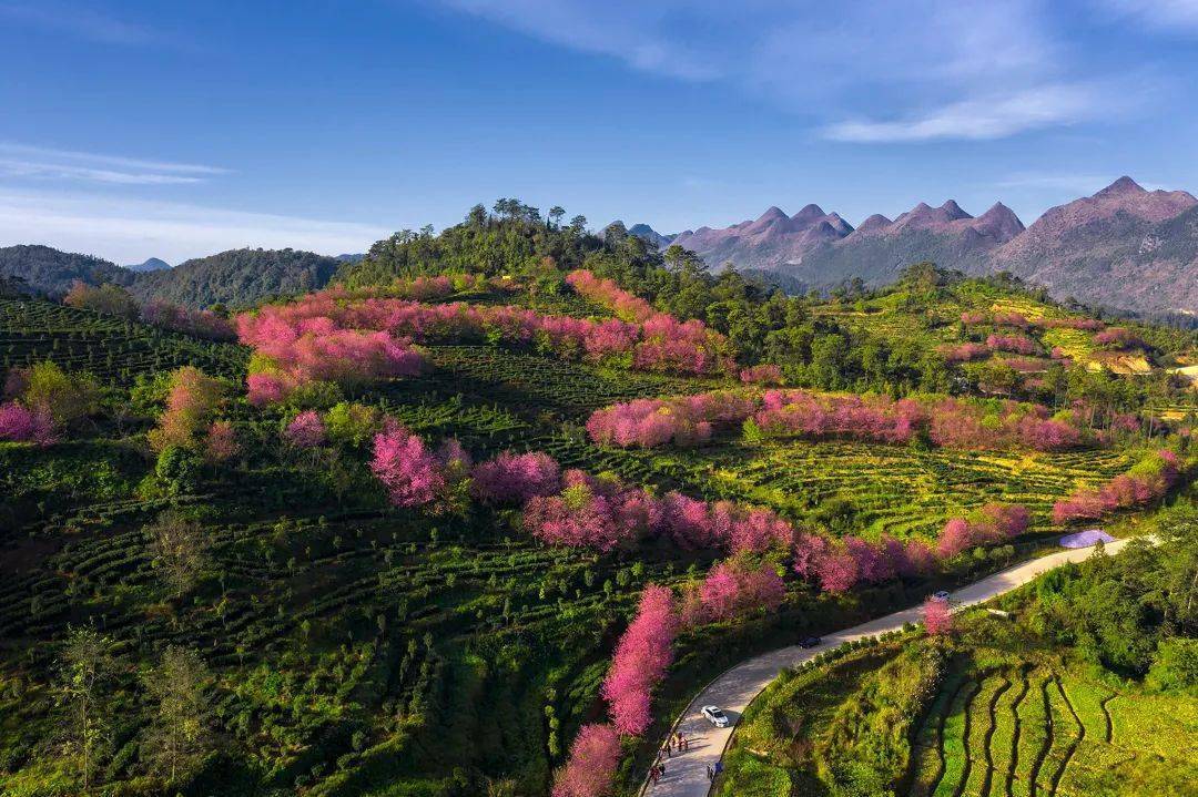 "红心向党 礼赞祖国"2022年兴义市优秀摄影"魅力金州篇"作品展播_张德