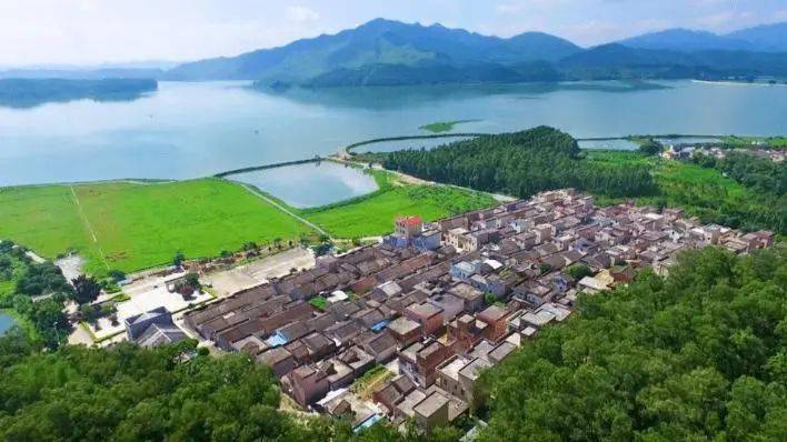 【开平印象】79元美景,美食约定你~美丽乡村大塘面村,月山三点三,果园