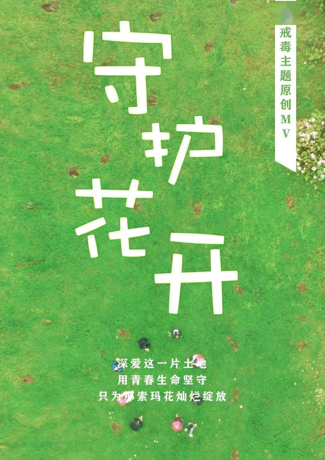 《守护花开》:用青春生命坚守 只为那索玛花灿烂绽放