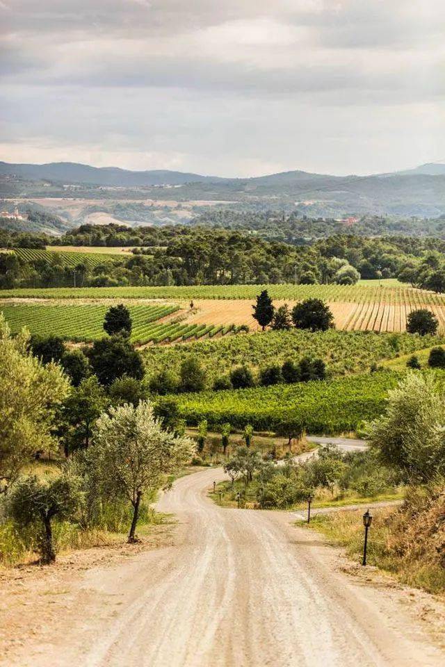 意大利超级托斯卡纳大名庄orma奥玛酒庄特惠中