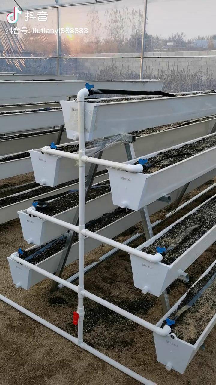 立体草莓种植设备销售下方小黄车购买即可抖音618好物节抖音助农立体