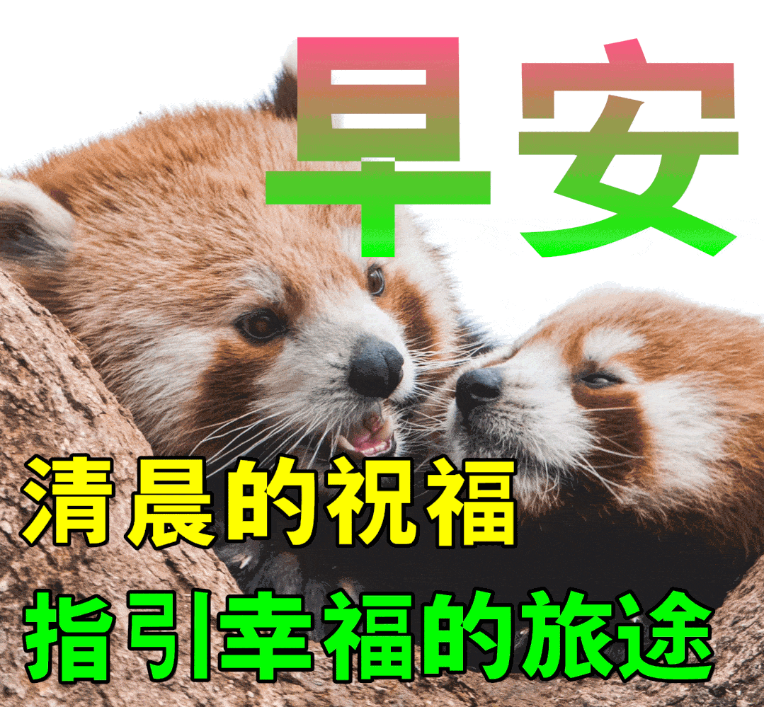 676月25日早上好动态表情图片及早晨好动图美图大全风雨路上悟朋友