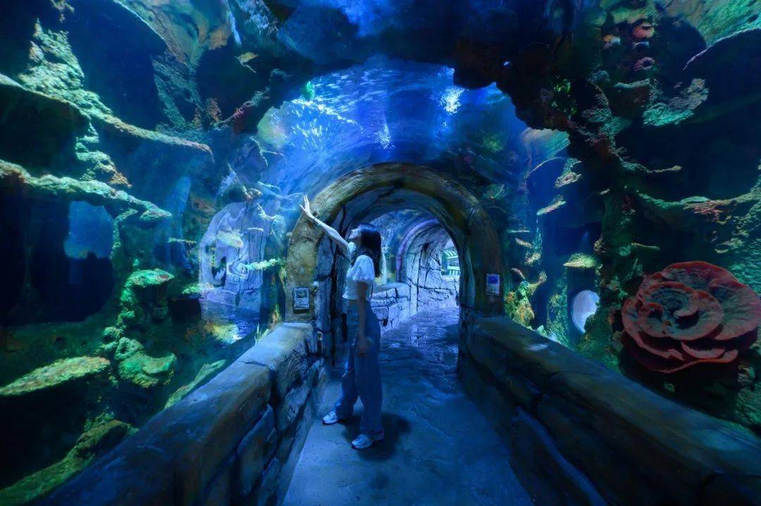 199元长鹿暑期专属嗨玩攻略建议收藏