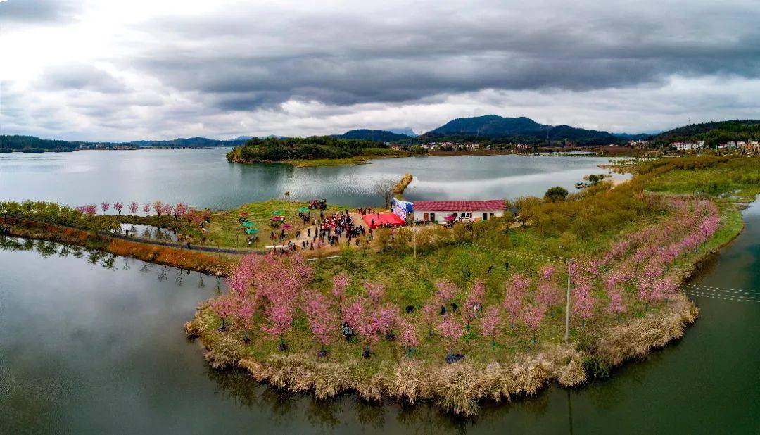 2022年九江市旅游产业发展大会丨美丽的山水武宁,来自41万武宁人精心打造与呵护!_乡村_庐山_武宁