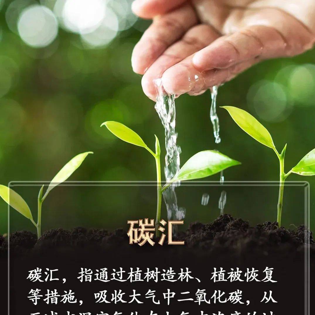 关于低碳减排,这些你都知道吗?_砀山_企业_技术