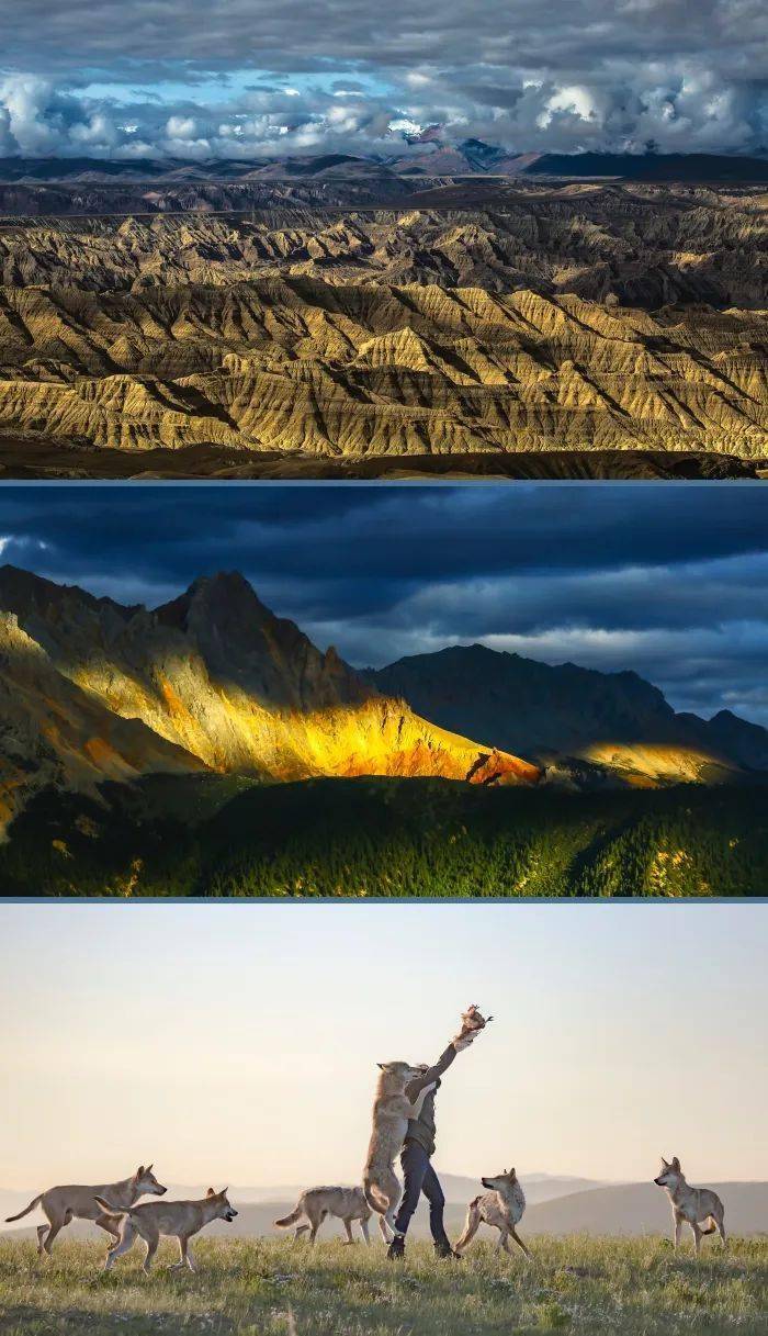 比赛(直接点击可以进入)2022年ipa国际摄影奖和露西奖(赵旭新担任评委