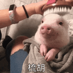 来取你的录取通知书