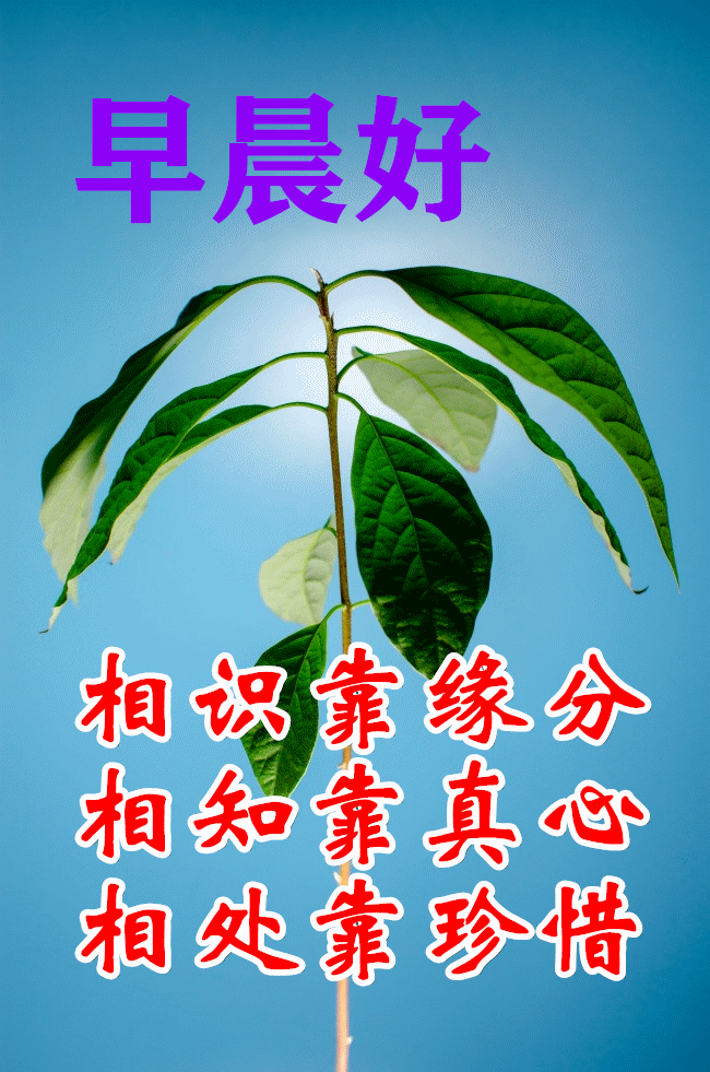 每天都开心,健康胜黄金.早上问声好,天天无烦恼.