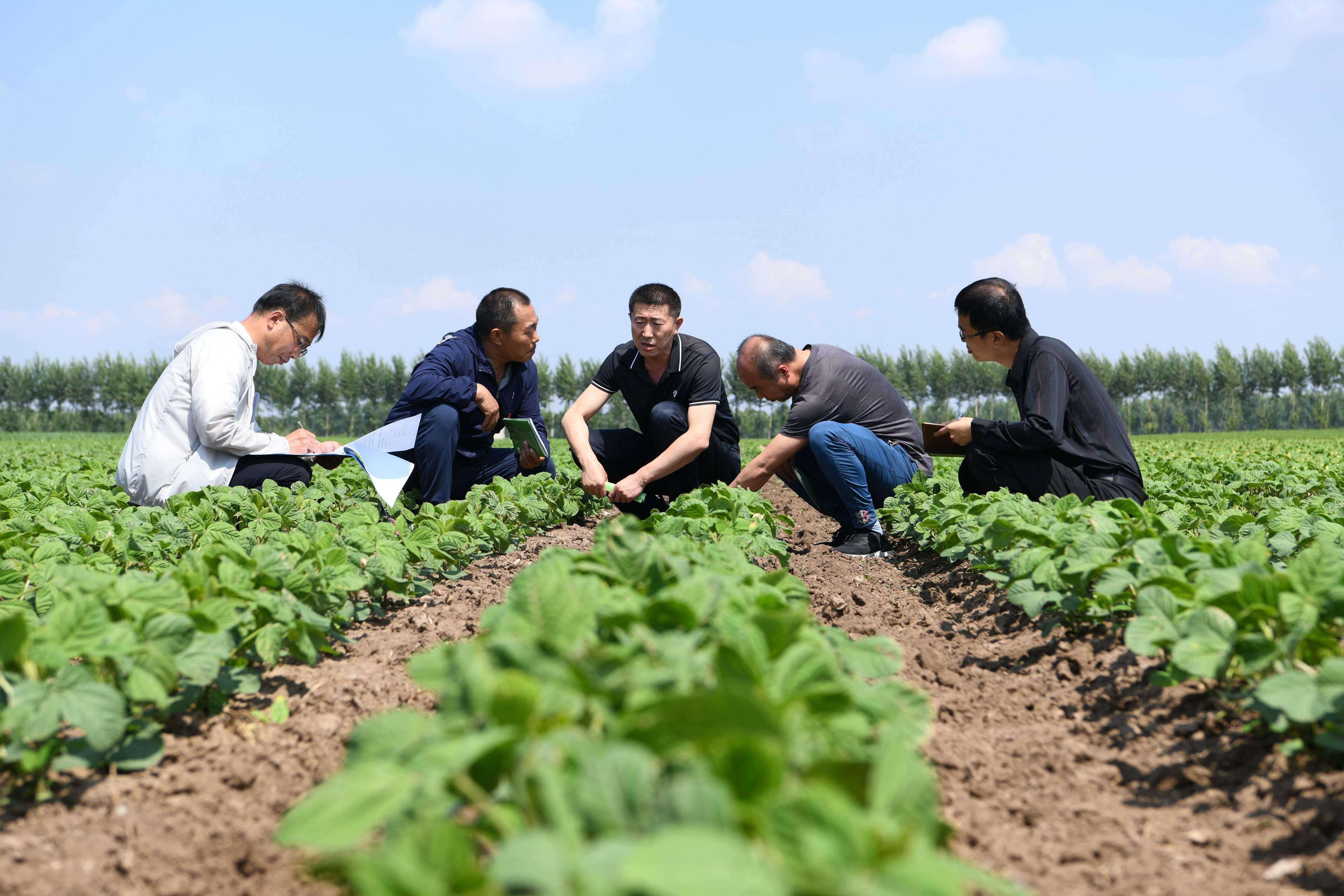 黑龍江紀檢監察機關扛牢糧食安全政治責任保護黑土地 守好大糧倉_監督