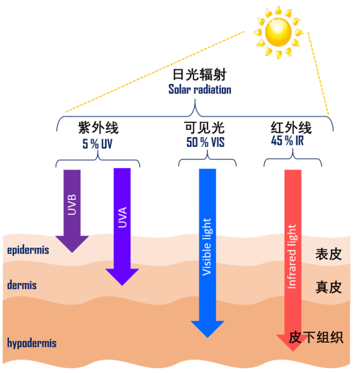 红外线穿透人体图片